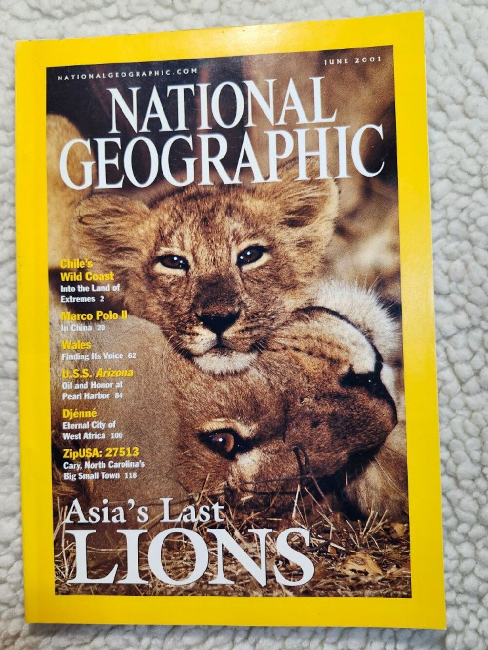 National Geographic Magazine June 2001 Asias Last Lions Nature Wildlife Issue